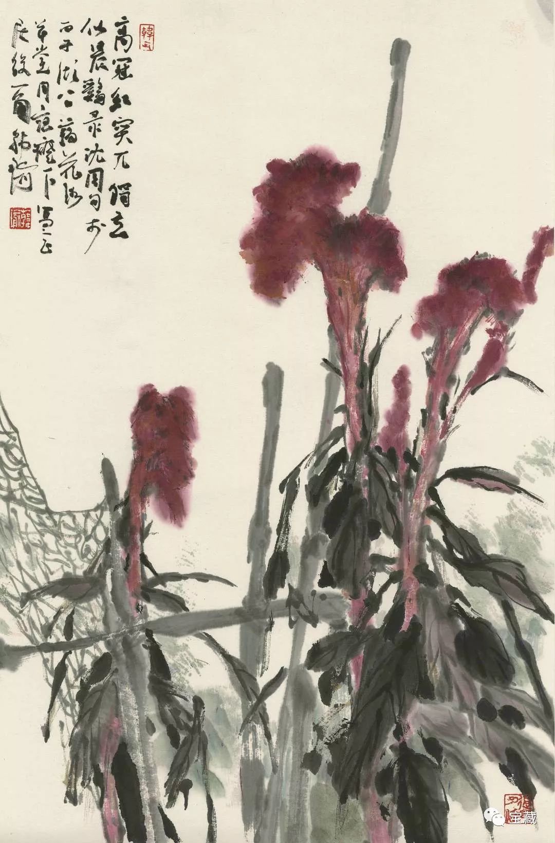 专访韩瑜吾心安处是画乡