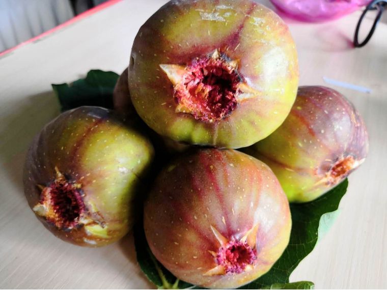 柏杨湖农庄周末悠闲在农庄踱步品尝新鲜时令水果领略田园风情