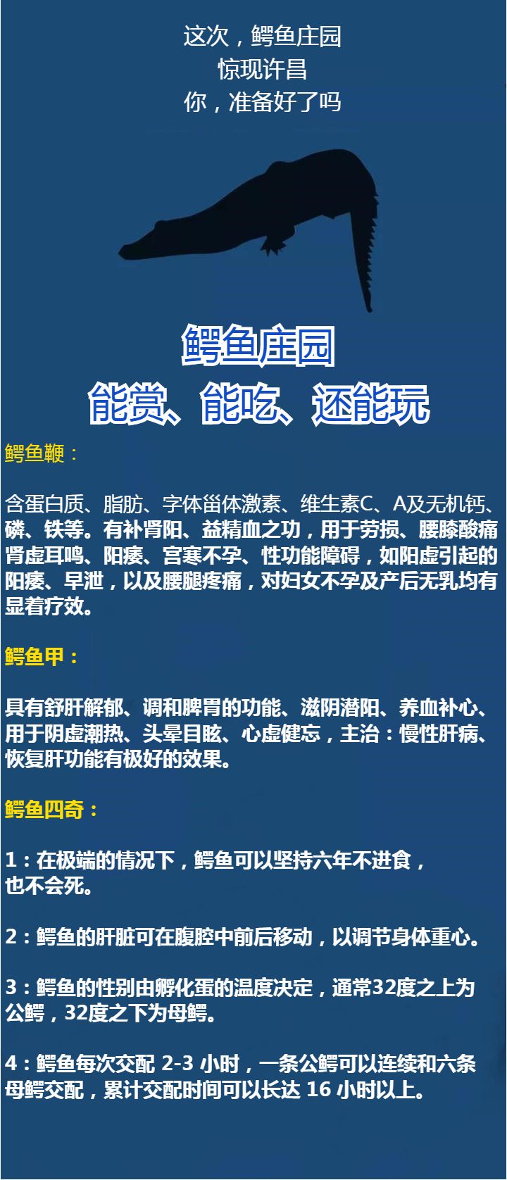 富含的優質蛋白質和人體必需的氨基酸,維生素和多種微量元素