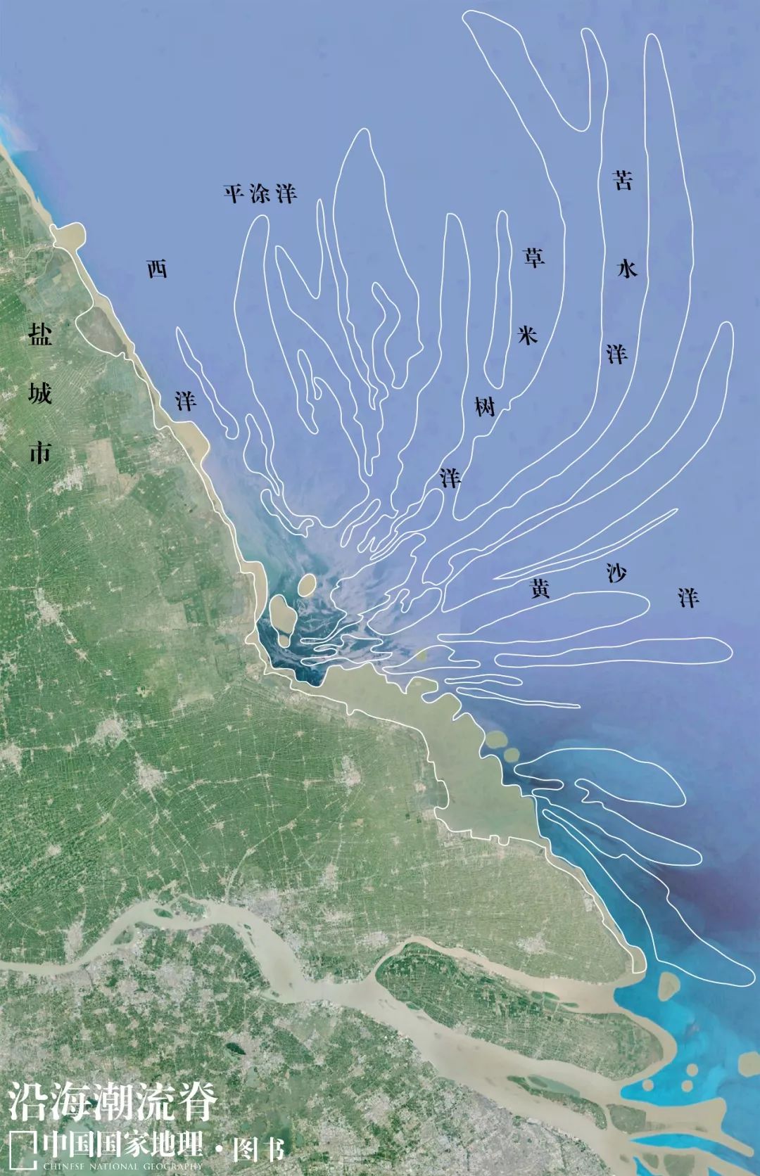 江苏盐城湿地,下一个世界遗产?_黄海