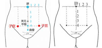 艾养身这几个穴位专调肌瘤与囊肿可惜知道的人太少了