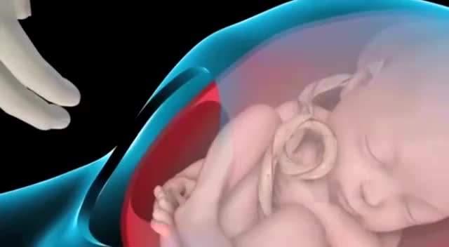 原创孕妈须知:想避免胎儿脐带绕颈,那这4件事你可别轻易"触碰"