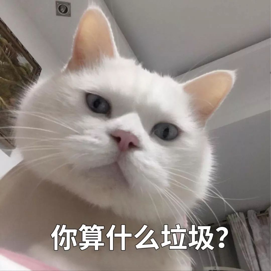 热点新闻汽车算什么垃圾