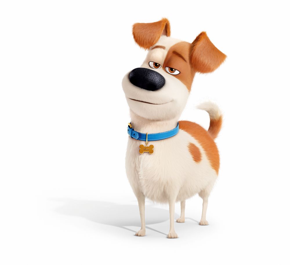 爱宠大机密2小黄人团队打造城市狗爆笑乡村行开启全新冒险