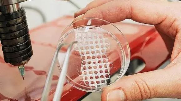 三维支架是三维细胞培养时最常用的材料,相当于人工ecm,能够模拟活体