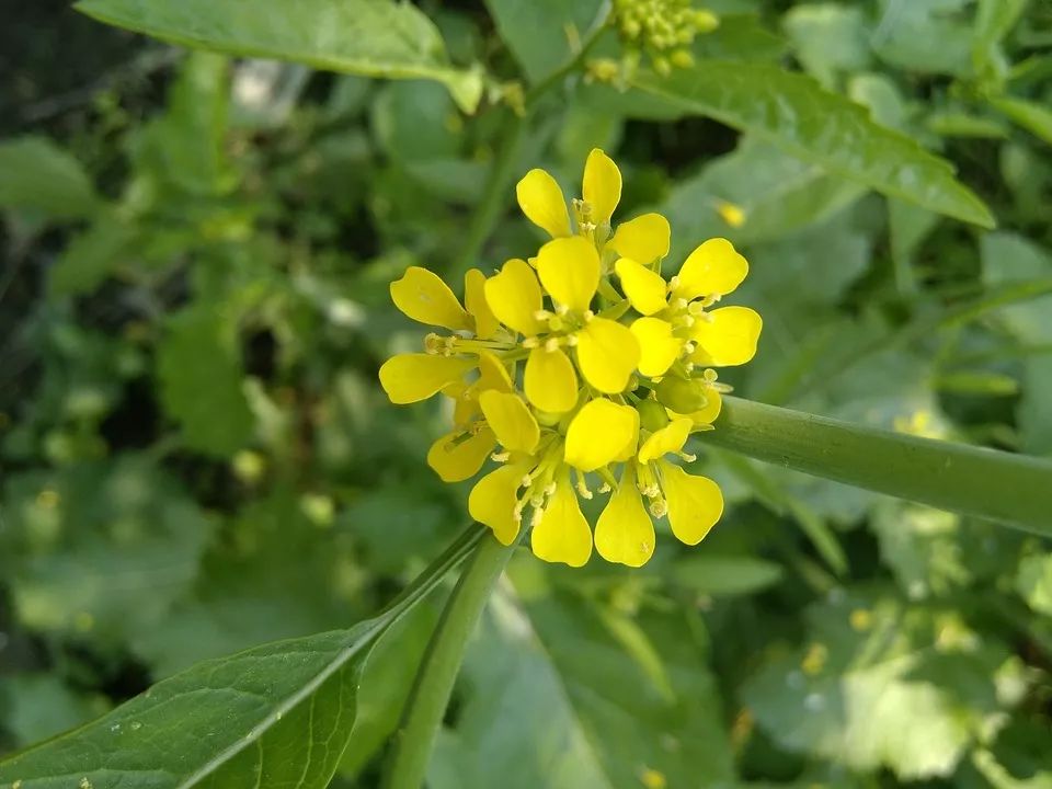 林生记美食汇推荐