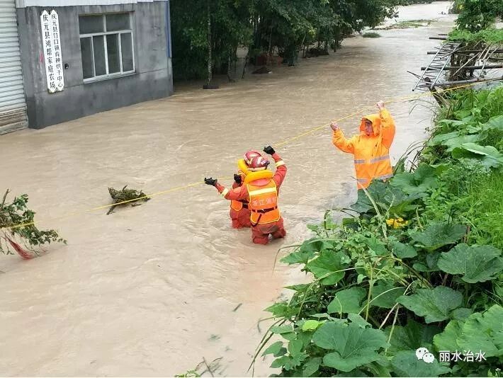 庆元最大一次打架图片