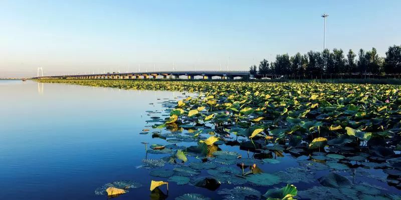 今天9时大庆市第十五届激情之夏文化旅游系列活动暨中国大庆湿地旅游