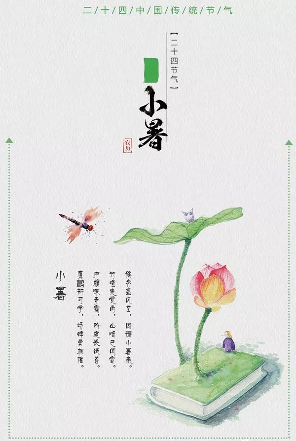 小戏骨剧场倏忽温风至因循小暑来