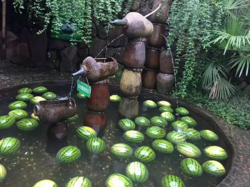 炎热的盛夏来临,曾是美好夏天的厚礼用井水浸泡过的西瓜农历六月初四2