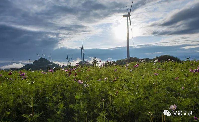 溆浦地紫荆山我们就爱你的高颜值
