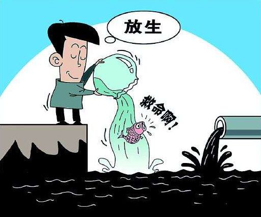 有人在太原汾河湿地放生蛇牛蛙巴西龟省省吧你放生的动物可能都过不了