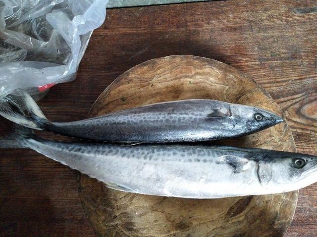 烟台人教你包鲅鱼水饺,不腥不柴,窍门就在这