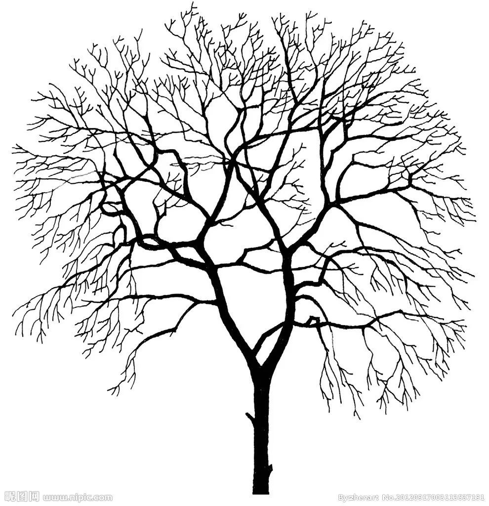 在正常的学习任务完成后,程同学会选择整理笔记,看看书,主要看名著和