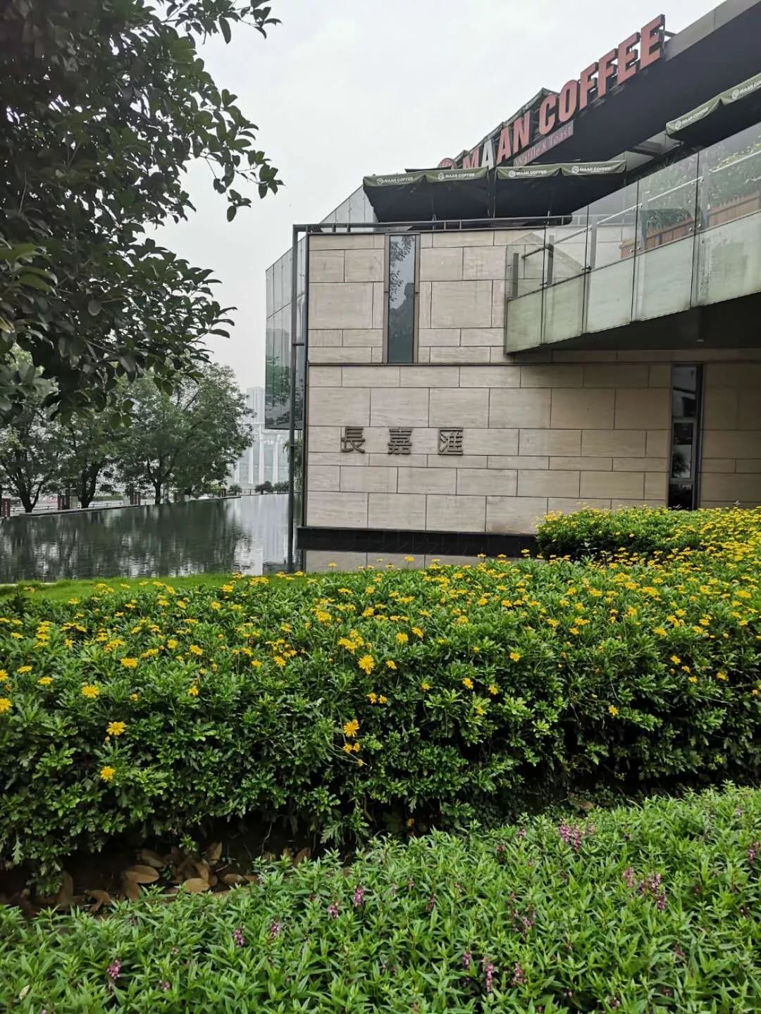 踩盘记:长嘉汇——弹子石板块02_项目