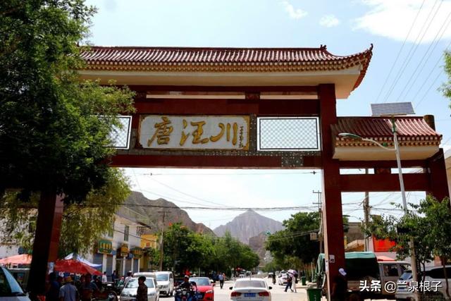 唐汪川七月的大结杏惹人醉_唐汪镇