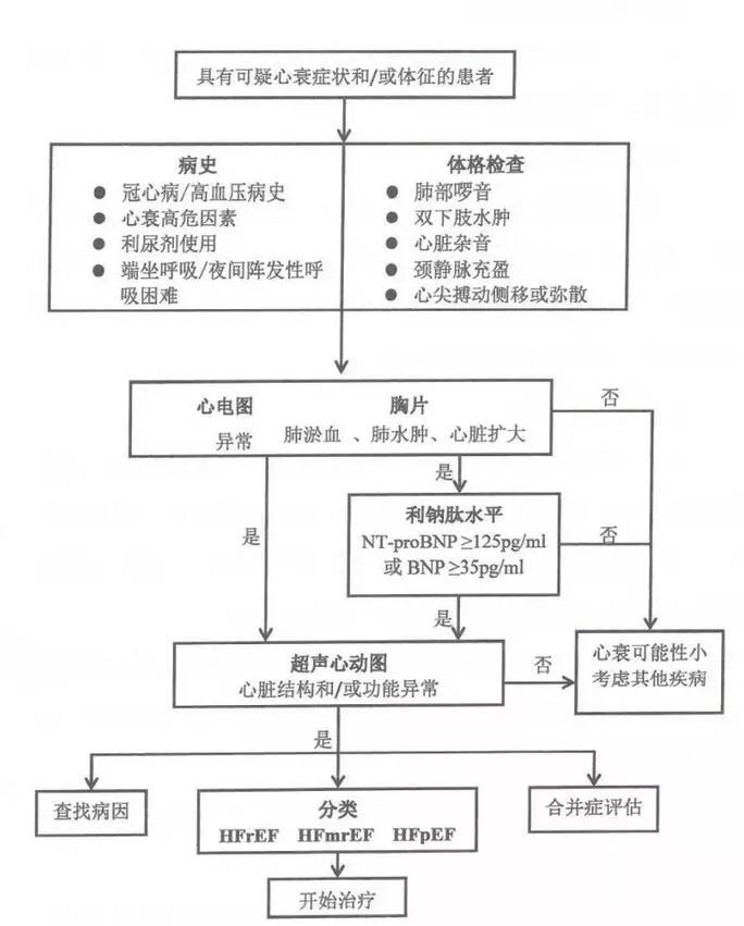 常见合并症包括心血管疾病(冠心病,房颤/房扑,心脏瓣膜病变,高血压