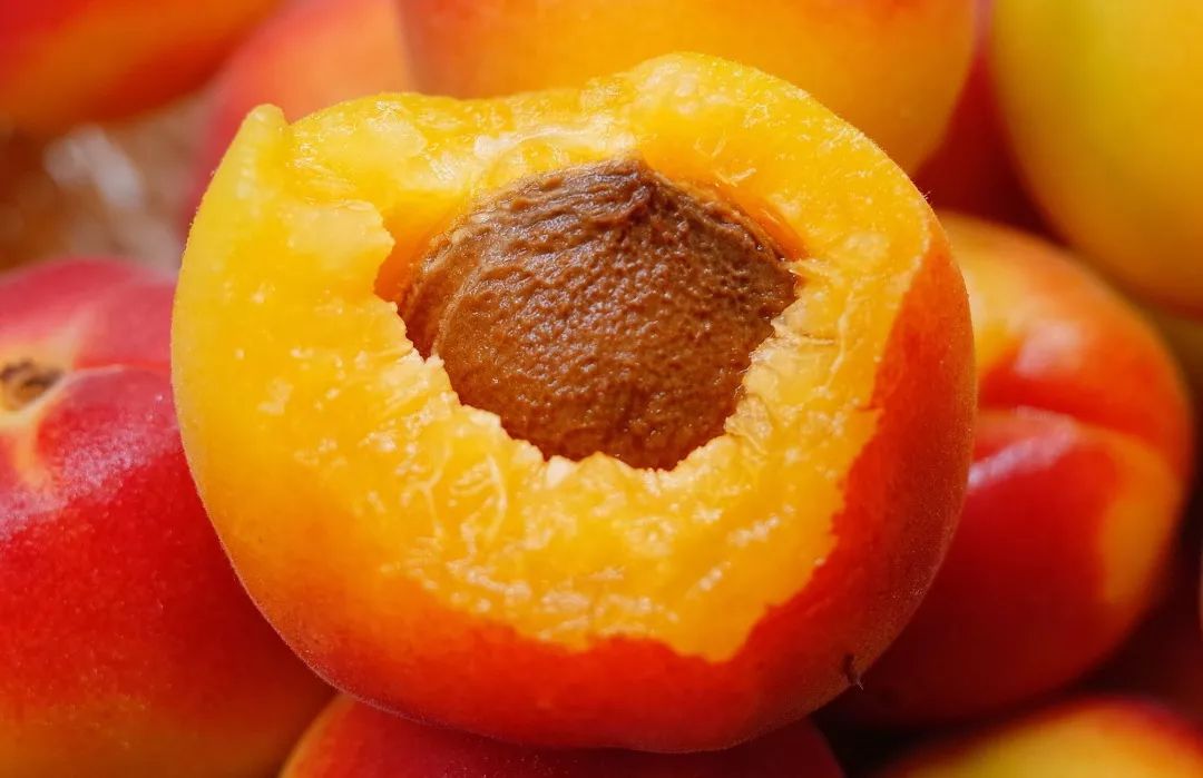 全网独家深山极品小甜杏软糯果蜜清爽余甘一口解锁神仙滋味