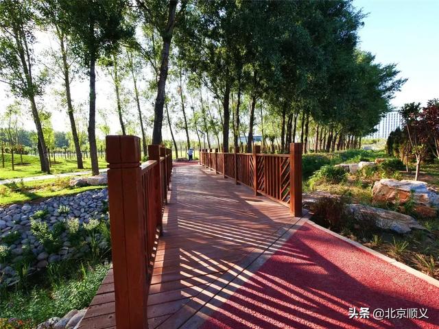 顺义首个城市森林绿地开园迎客