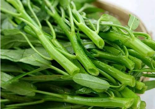 空心菜中的叶绿素有绿色精灵之称,它的营养价值极其丰富,100克