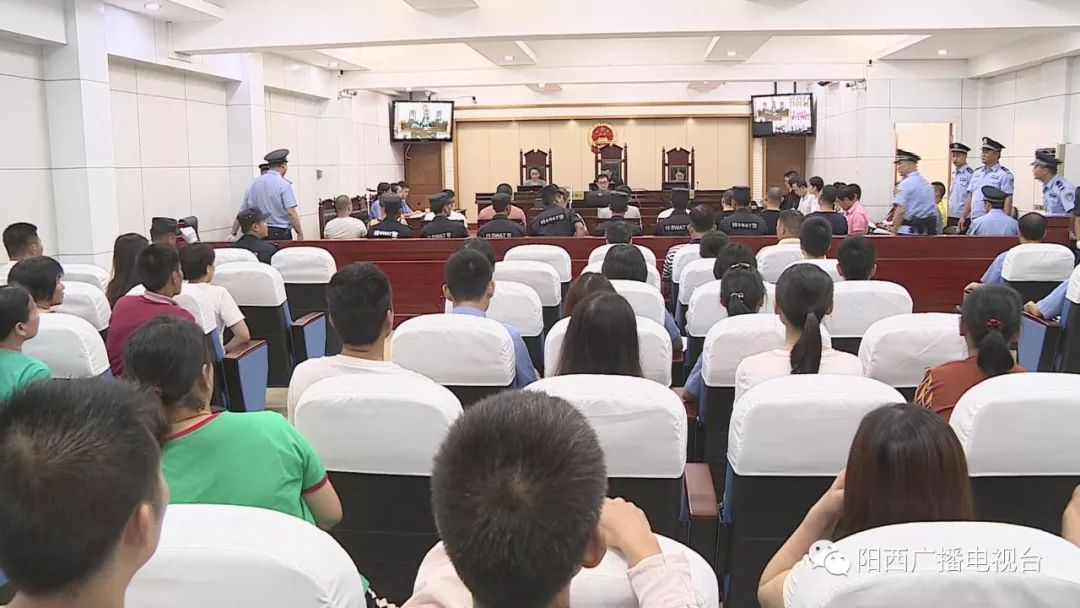 阳西县人民法院公开审理一起恶势力犯罪集团案件