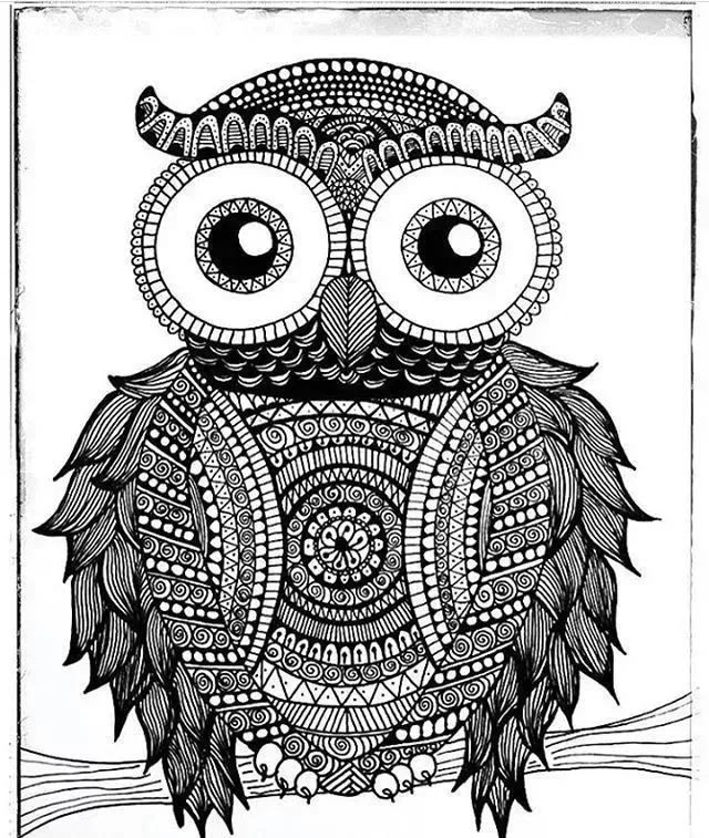 禅绕画没学过画画也能画好