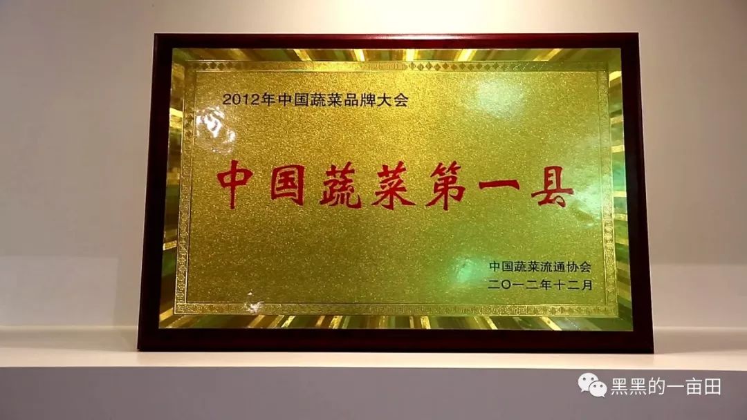 中国蔬菜第一县的品牌之路