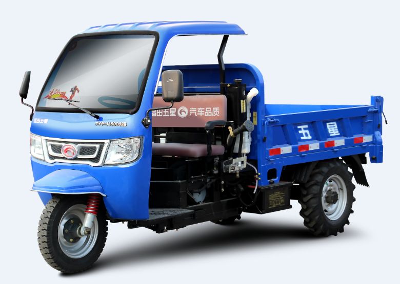 五星全新吸睛之作