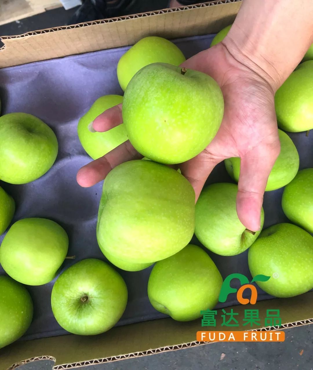 樱桃脆李85元斤青蛇果加力果富士苹果特价