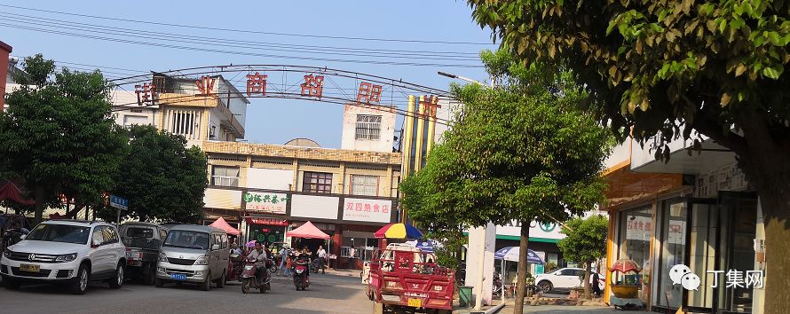 网络调研!关于丁集镇光明街路口设公交站台