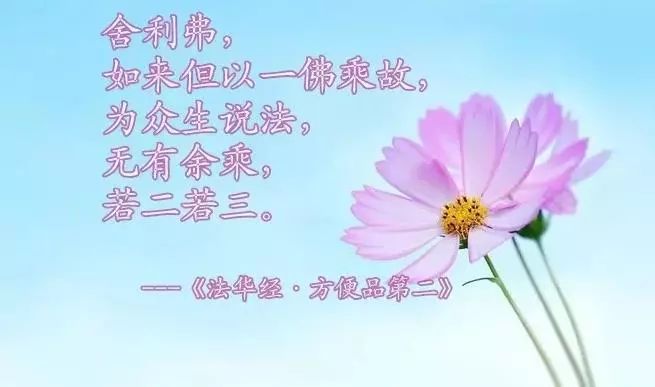 风起法华云何名为成佛的法华经