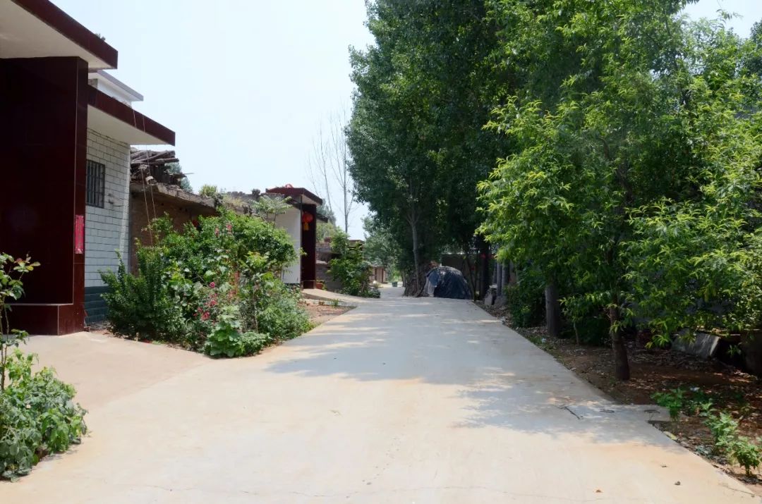 马沟村从一条泥土路的改造说起