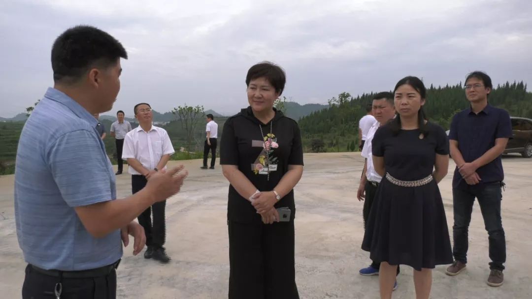 陈丽萍到玉屏调研