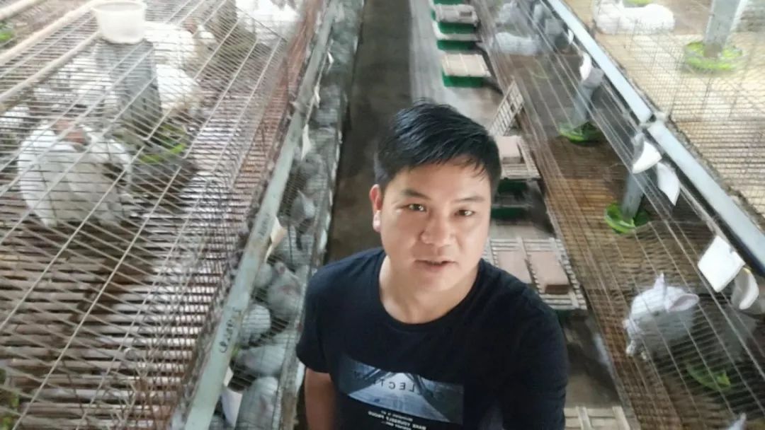 丁小林兔子村长的创业之路