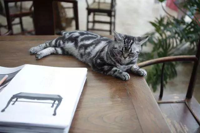 马未都审美是后天的