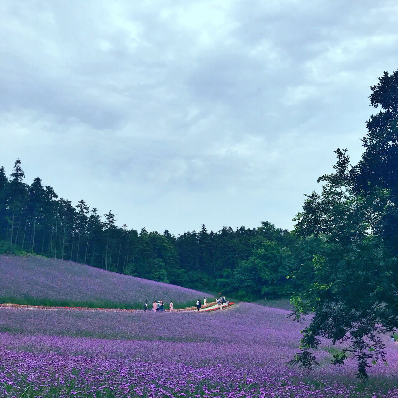 南京谷里景点图片