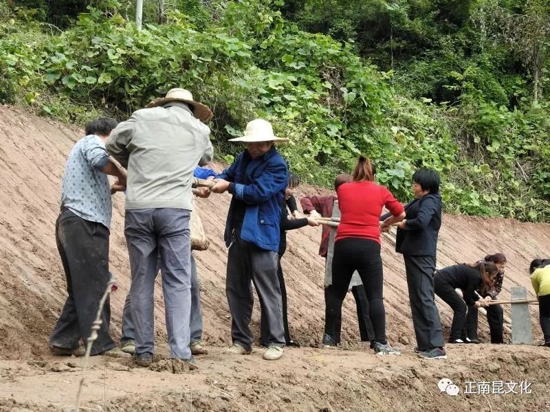 单调的劳动时间长了,容易疲劳,喊着号子,在轻松愉快中享受着劳动的