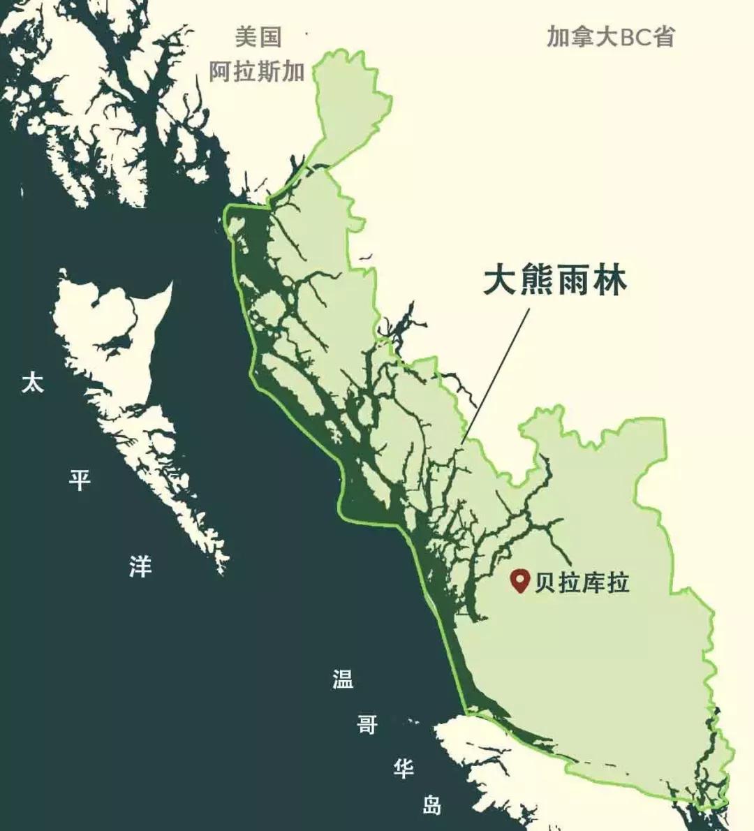 它是,地球上最大一片原始温带雨林,《国家地理》杂志曾称它为:北美最