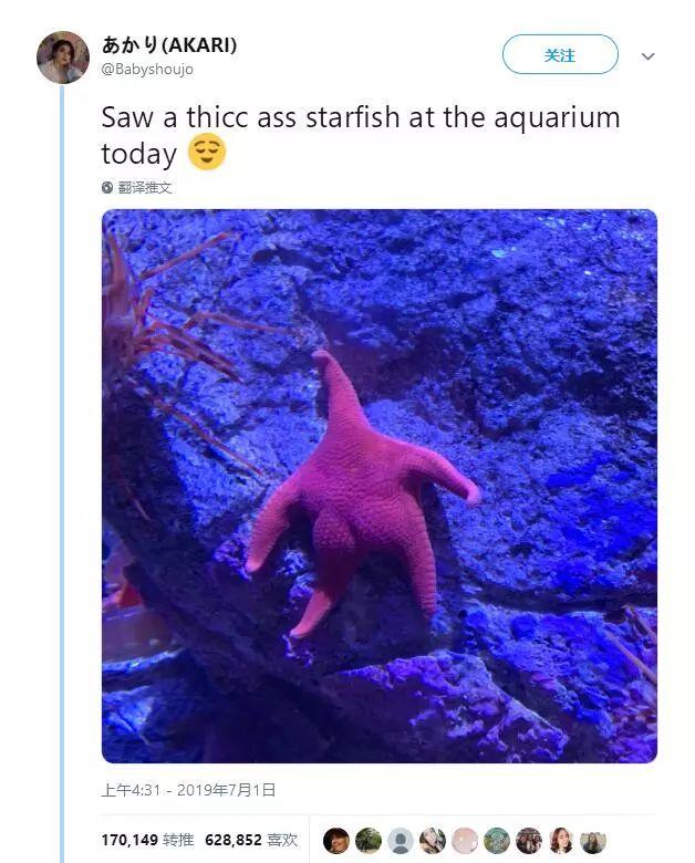 水族馆惊现翘臀海星,完美曲线堪称现实版派大星