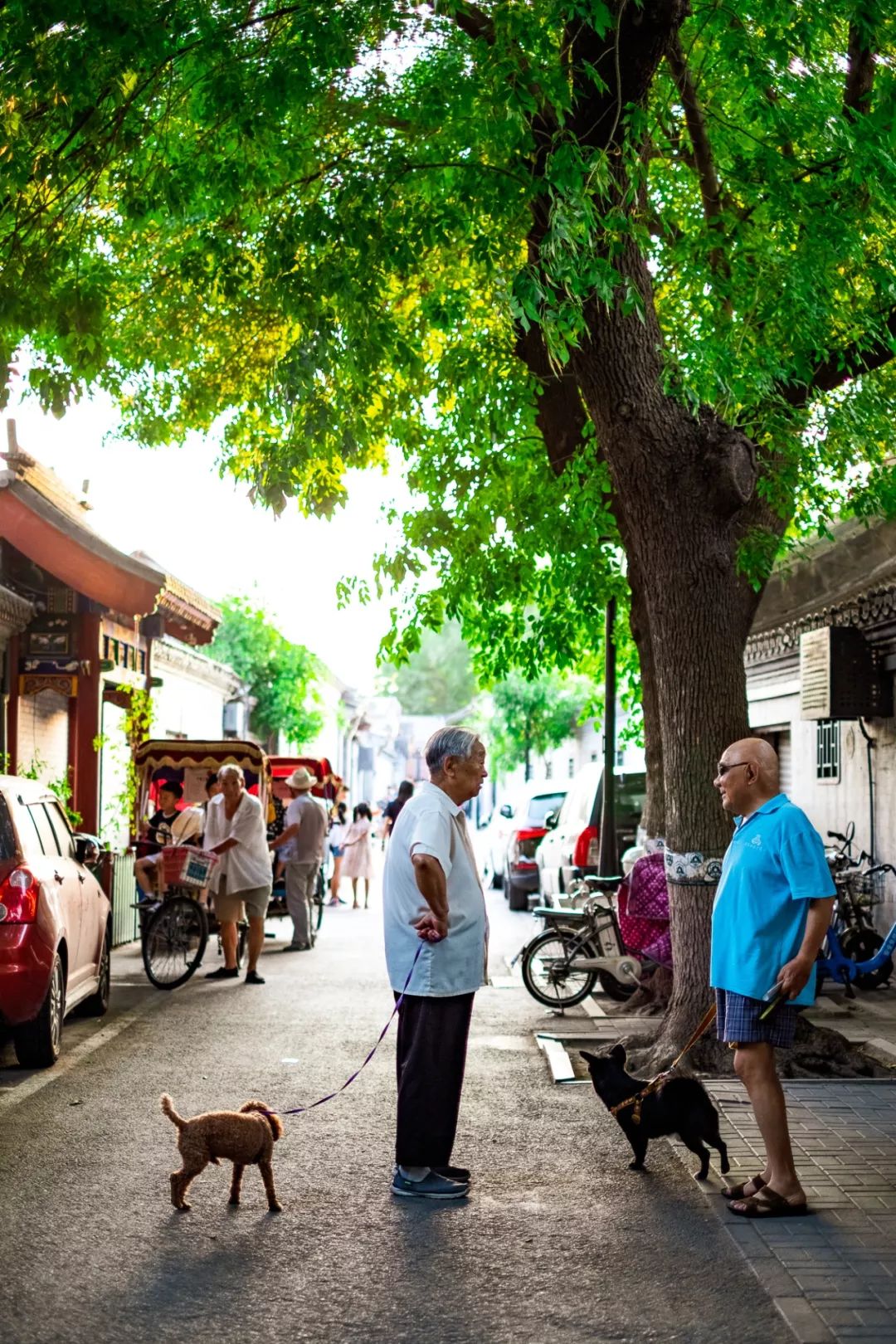 越来越长的北京夏天