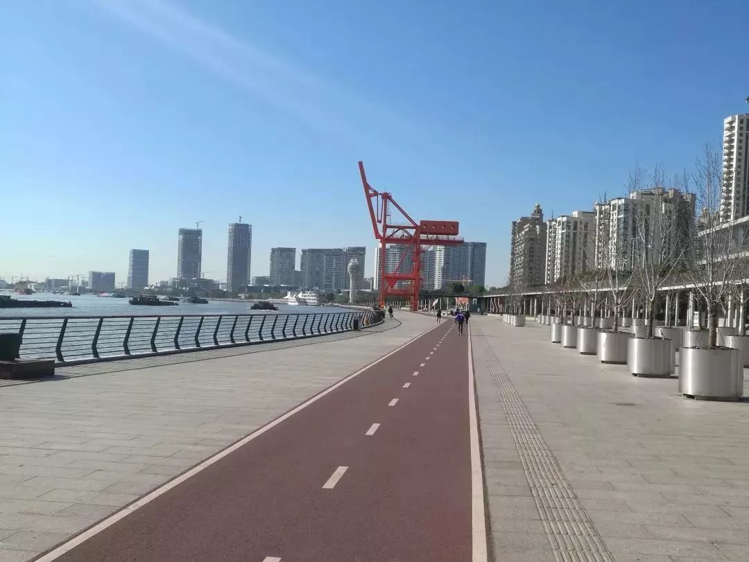 前滩滨江步道图片