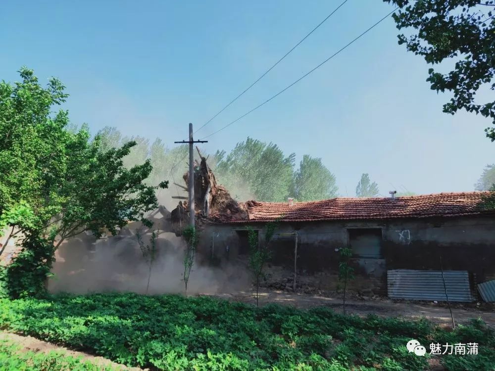 重拳拆违南蒲街道开展道路两侧集中整治行动