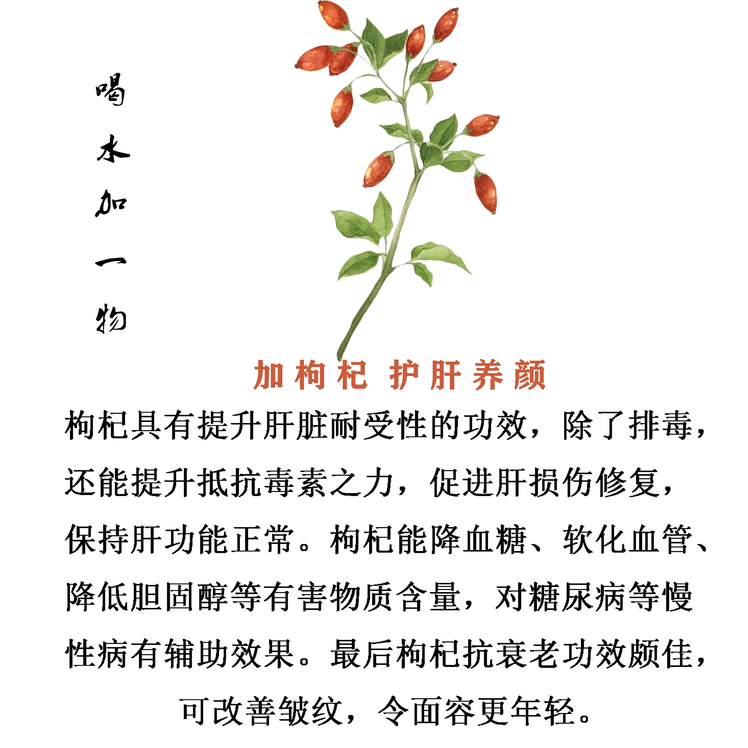 喝水加一物,让你越喝越年轻,重返17岁