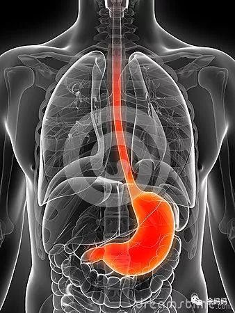 消化道写给新手妈妈的一封信