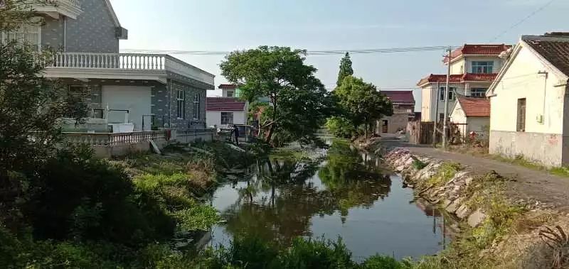 【污染防治攻坚战】四甲镇海山村:加强河道整治,打造美丽乡村