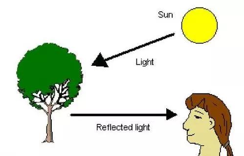 所以這個過程就涉及到三個點:光源,物體和視網膜.