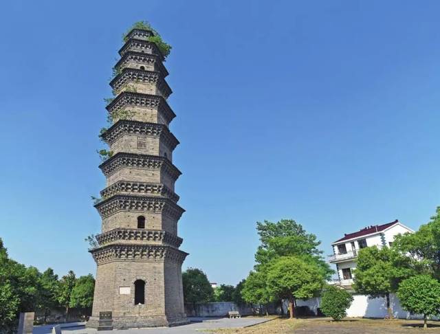 安徽画报来看看无为的颜值担当