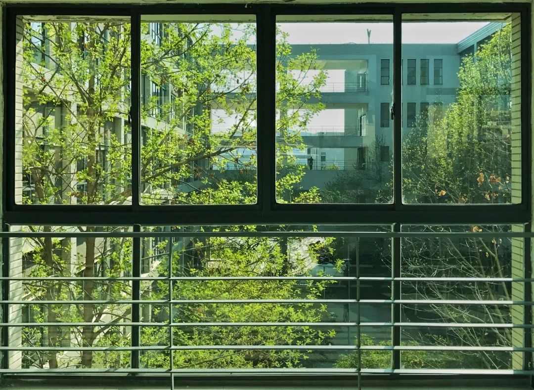 心动警告矿大的神仙窗户你见过吗