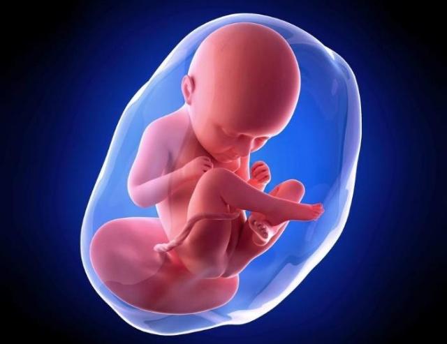 整个孕期下来孕妇体重增长多少斤对胎儿发育更好