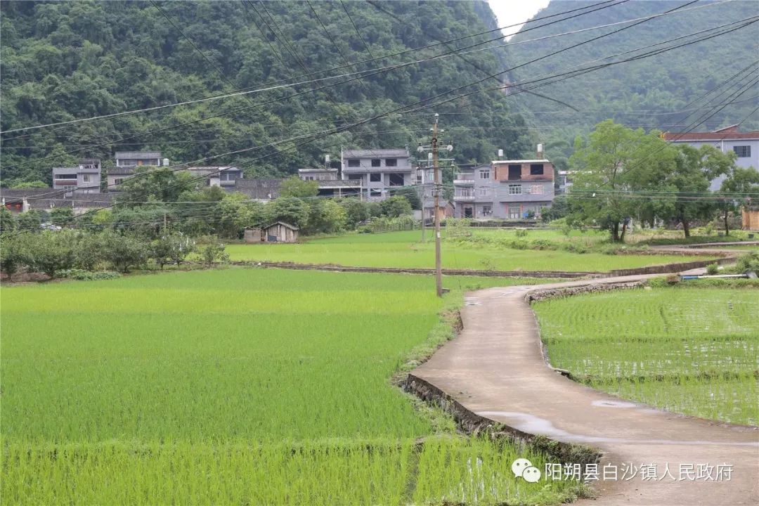 ▼会前,参会人员分别到白沙镇岩塘村,桥上村,旧县村观摩"五拆五清五建